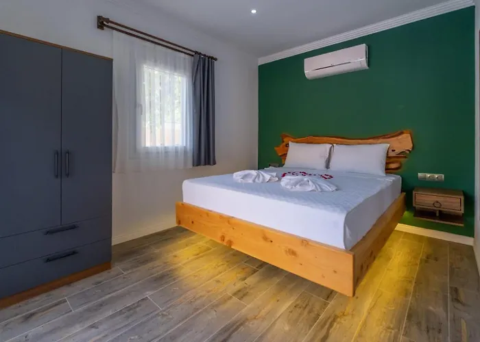 别墅 Dedekavak 2 *