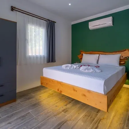 别墅 Dedekavak 2 *